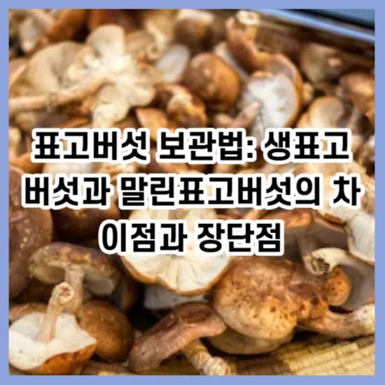 표고버섯 보관법: 생표고버섯과 말린표고버섯의 차이점과 장단점