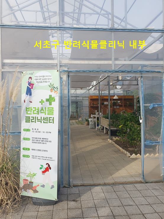 서초구반려식물클리닉 내부