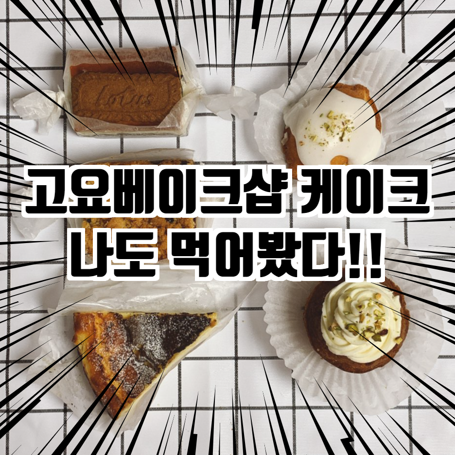  까치산역 카페 고요 베이크샵(KOYO BAKE SHOP) 케이크 먹어본 찐 리뷰