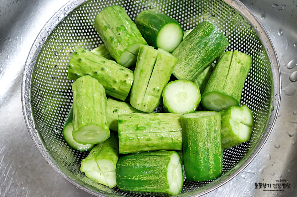 오이 김치 담그는 법 아삭아삭한 부추 오이 김치 담그는 법 4