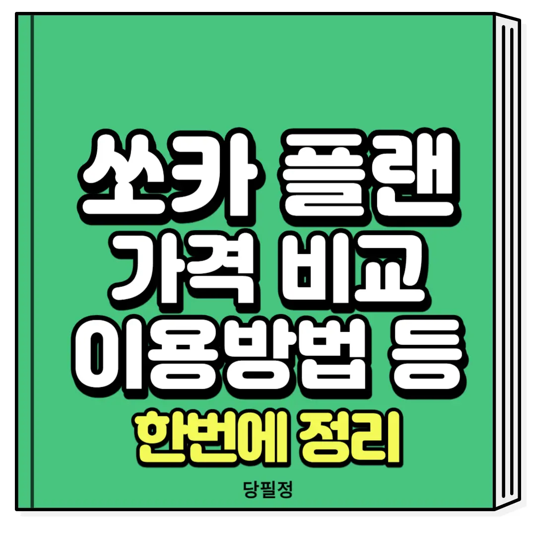 쏘카 플랜 가격 비교 이용방법