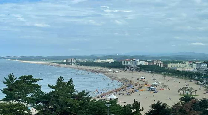 낙산비치호텔