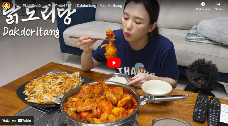 햄지의_닭도리탕_먹방