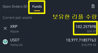리플 보유 수량 102개를 보여주는 사진
