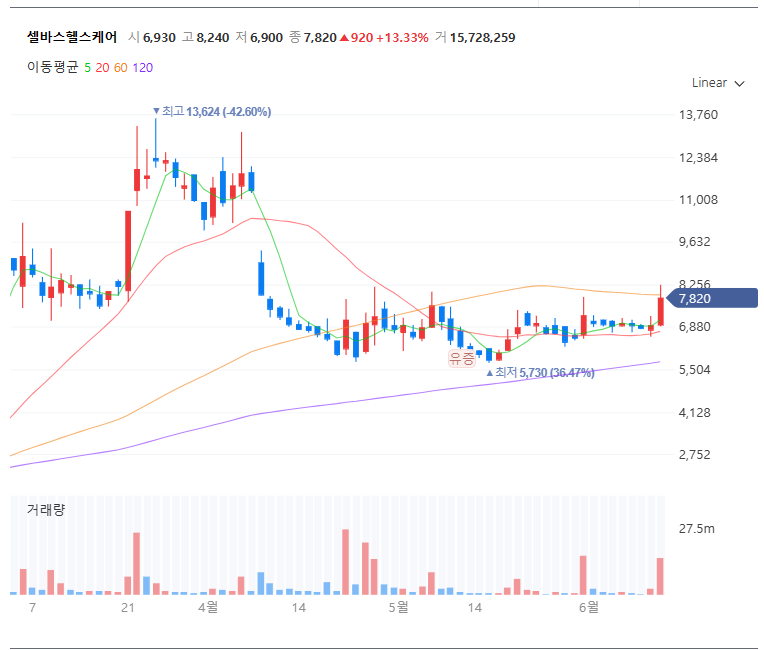 셀바스헬스케어 차트 (출처:네이버 증권)