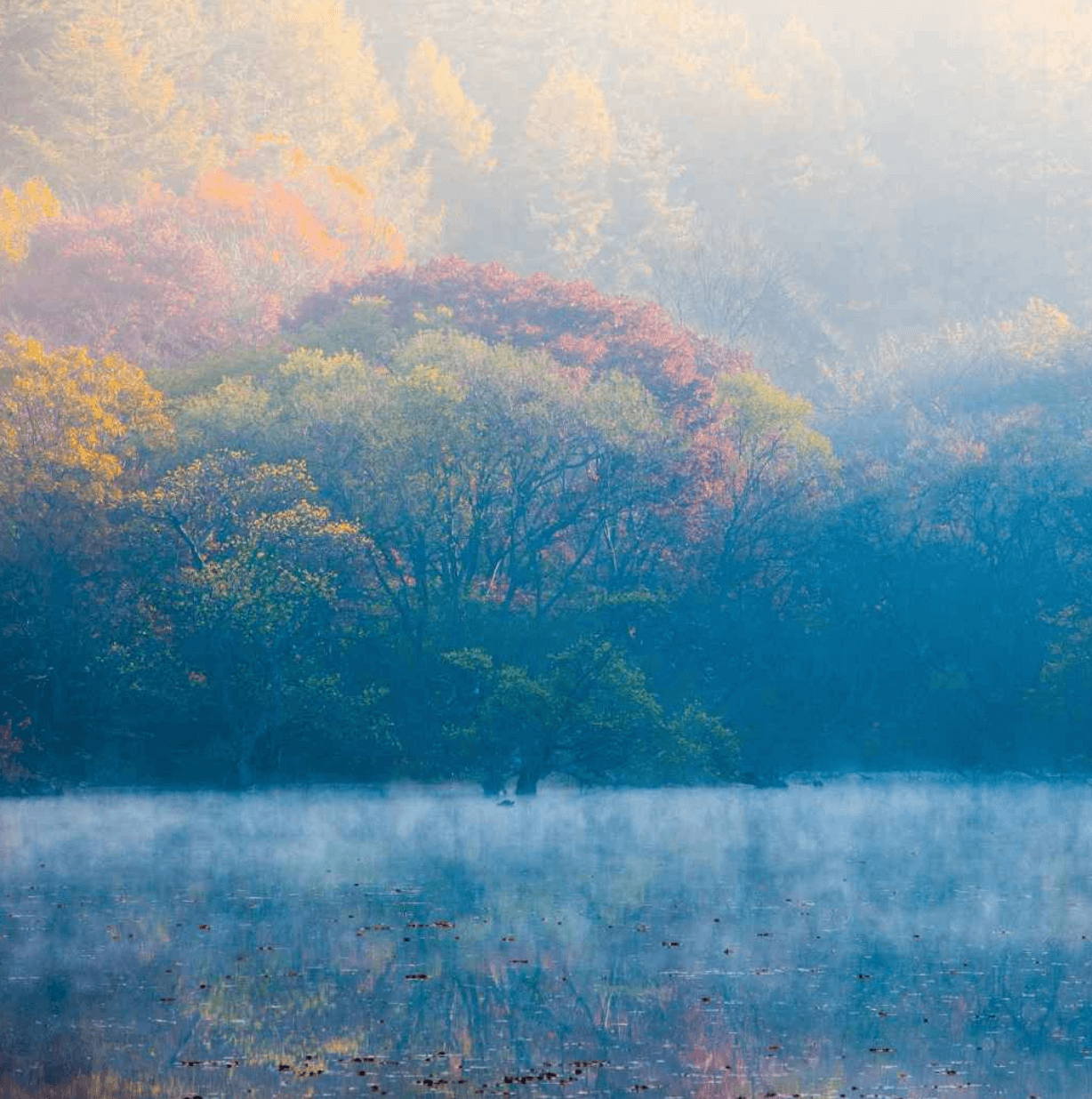 청송 주산지(注山池) 사계절 아름다운 경치와 자연 속의 추천여행지