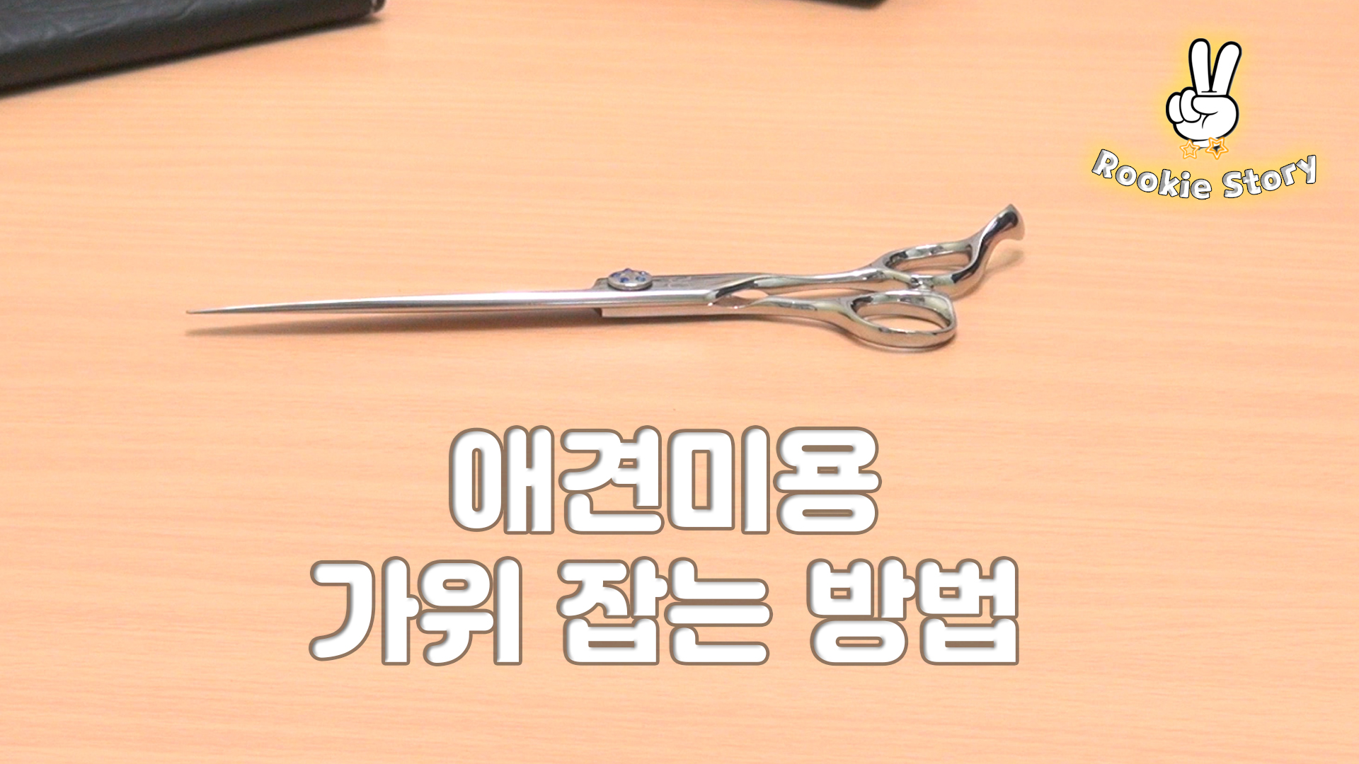  애견 셀프 미용 강아지 가위 사용 방법