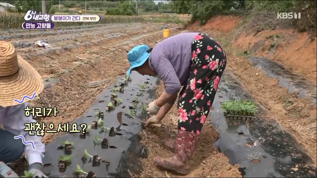 6시 내고향.E7806.230613p.H264-F1RST.mp4_20230614_205846.358.jpg