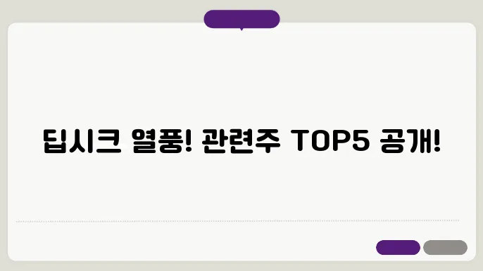 딥시크 관련주 top5