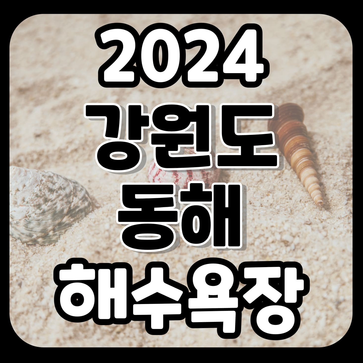 2024년_강원도_동해시_해수욕장,_바다_개장일과_폐장일_정보_대표이미지