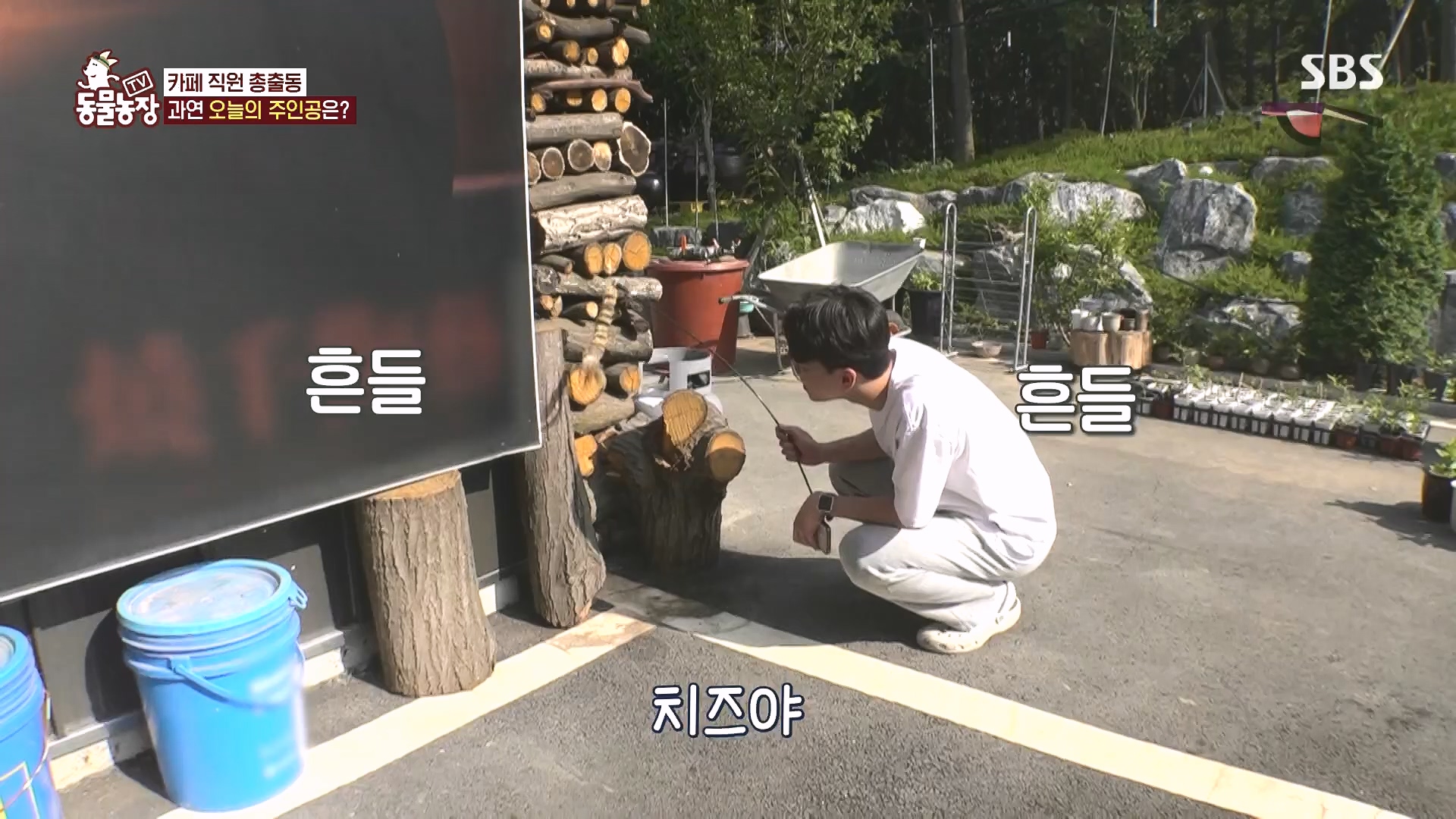 TV 동물농장.E1182.240728p.H264-F1RST.mp4_20240728_152521.464.jpg