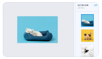 최근 캡처 목록