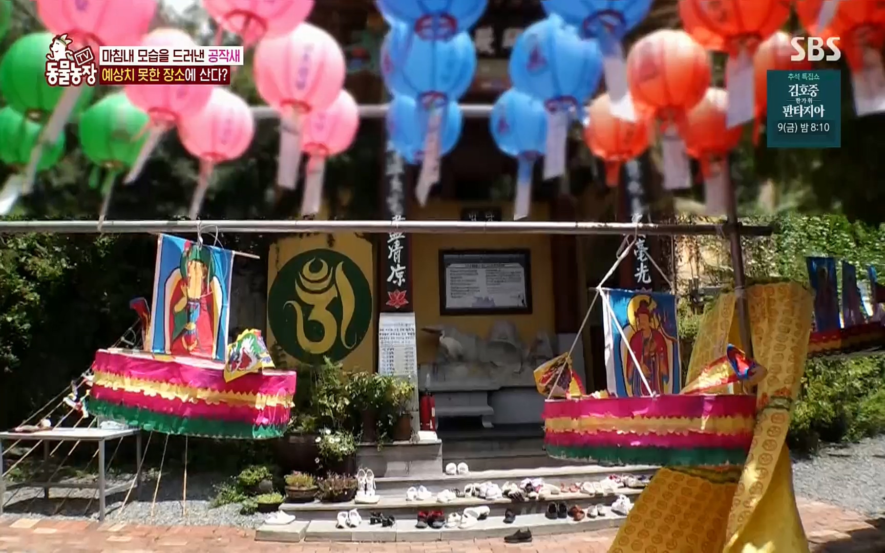 TV 동물농장.E1084.220828p.H264-F1RST.mp4_20220828_154049.494.jpg