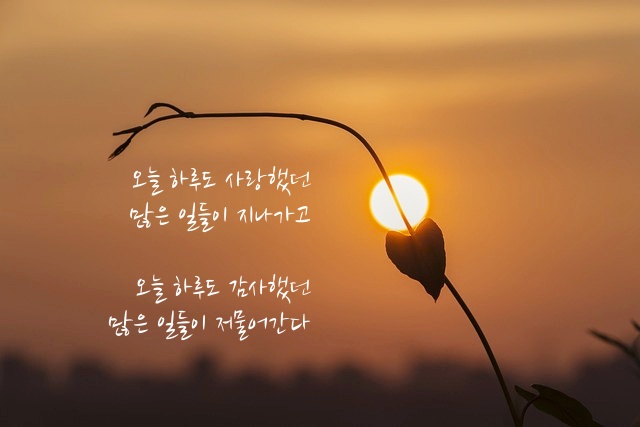 시 내용 일부가 들어간 이미지