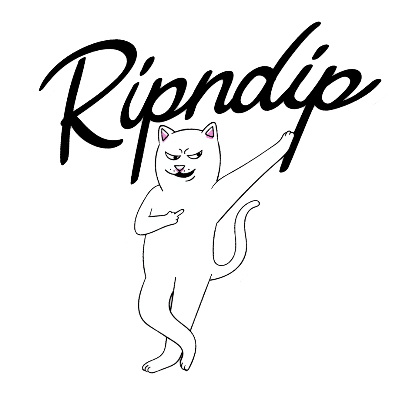 brand story 욕하는 고양이🐈 Ripndip(립앤딥) potbad magazine