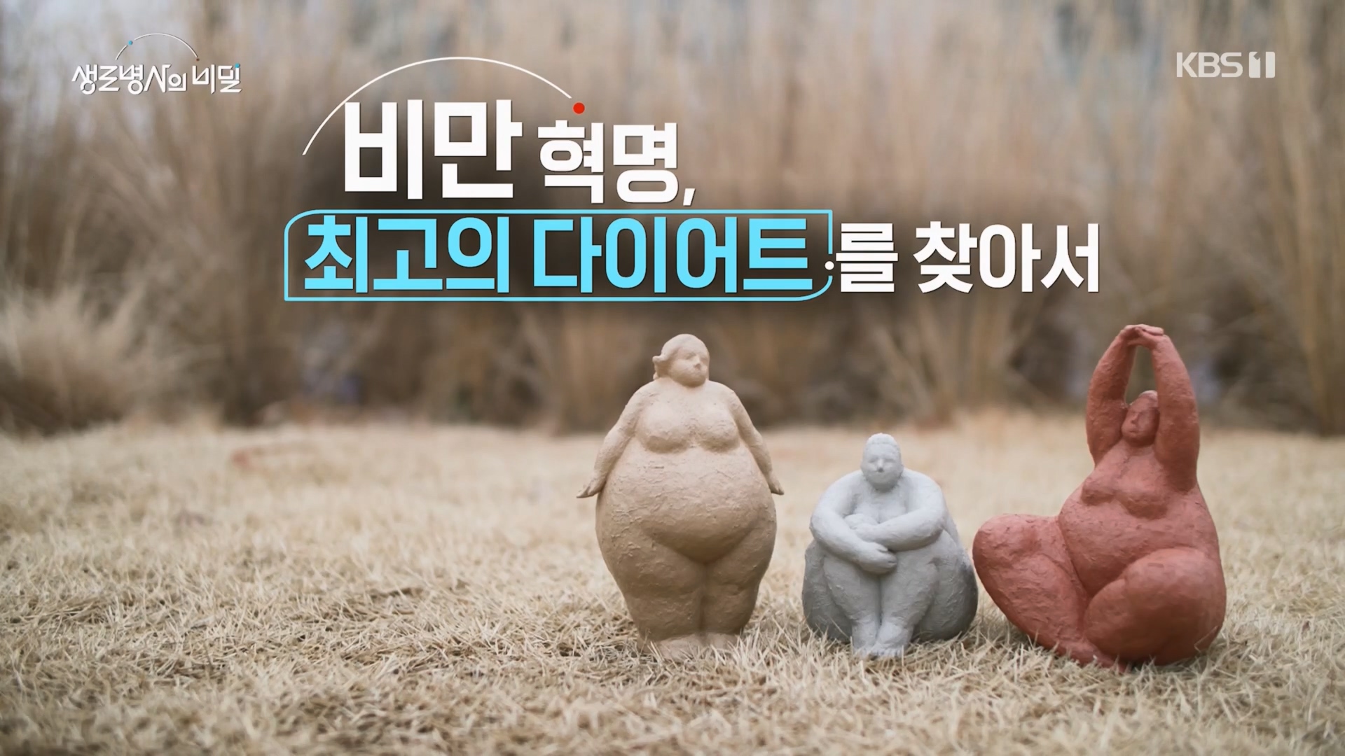 생로병사의 비밀.E901.240313p.H264-F1RST.mp4_20240314_195830.715.jpg