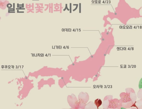 일본 벚꽃개화 시기