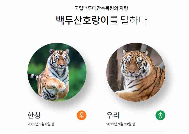 백두산 호랑이와 함께하는 국립백두대간수목원 예약방법