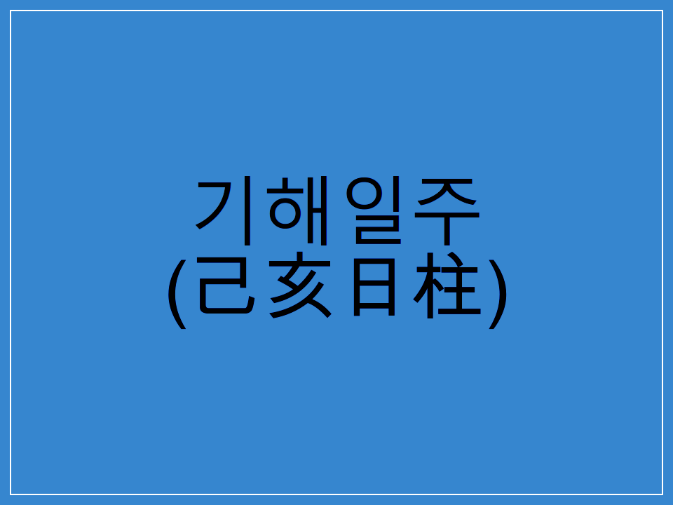  기해일주(己亥日柱) 일주론 요약