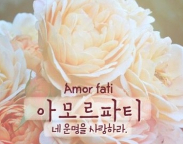 카르페디엠 이미지