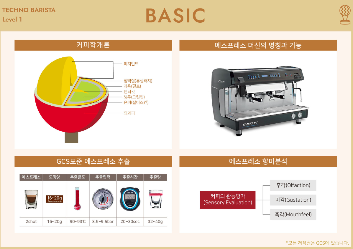 GCS 바리스타 자격증