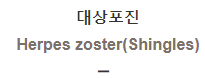  대상포진 [Herpes zoster(Shingles)]