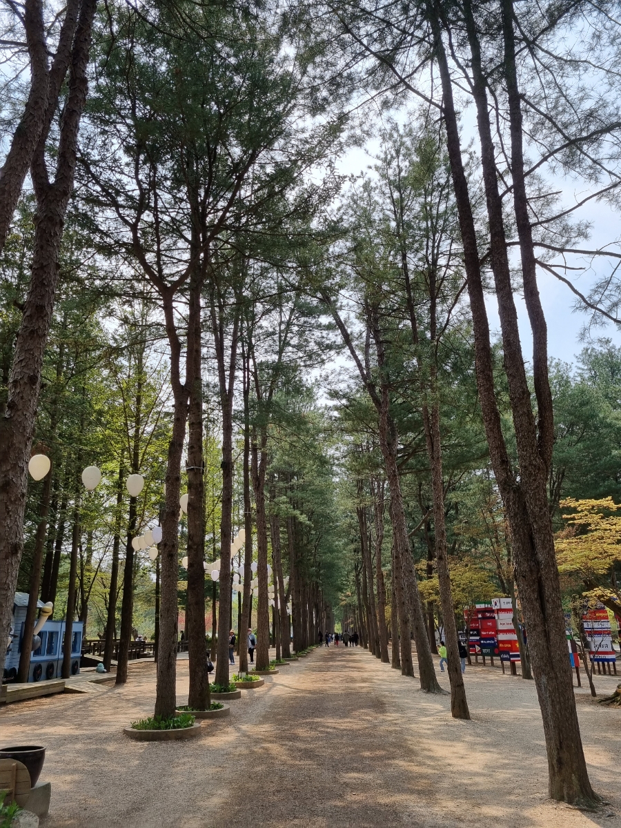 남이섬 배시간표 남이섬 배시간표, 할인 방법, 61