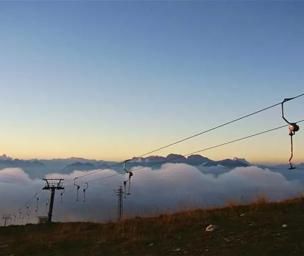 SG세계물산