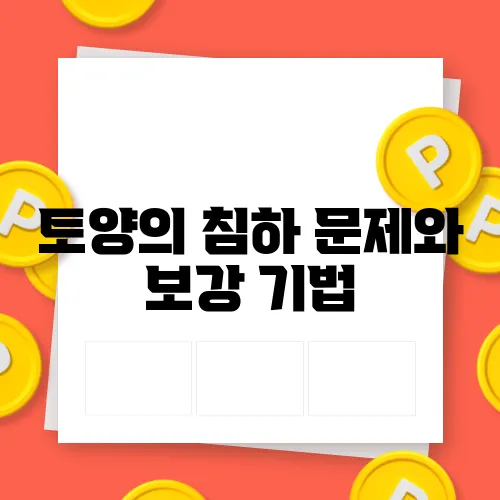 토양의 침하 문제와 보강 기법
