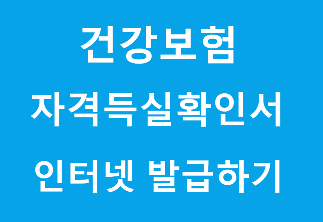  건강보험자격득실  확인서 인터넷 발급