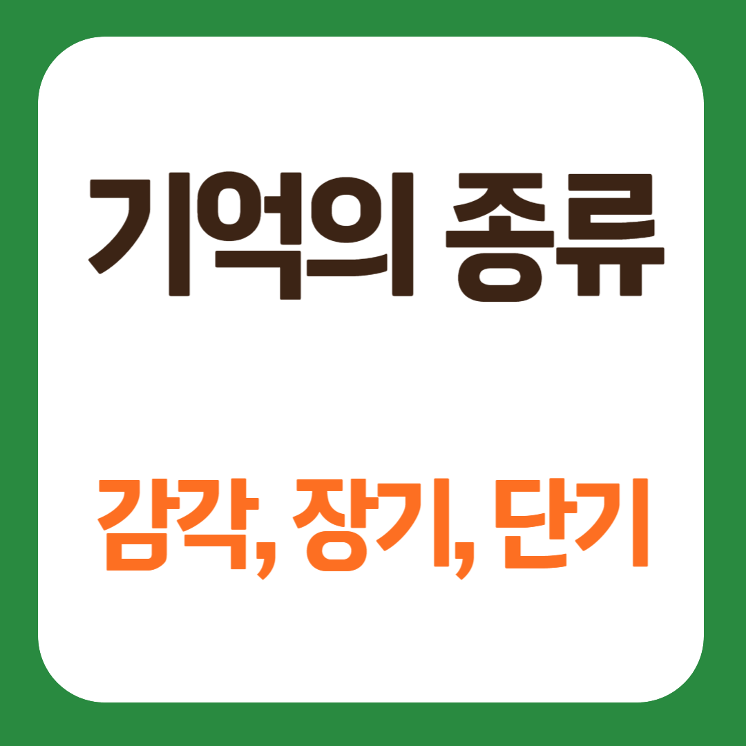 기억의 종류 감각기억 단기기억 장기기억