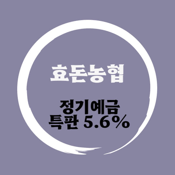  효돈농협 특판 정기예금 12개월 금리 5.6% 상품 추천