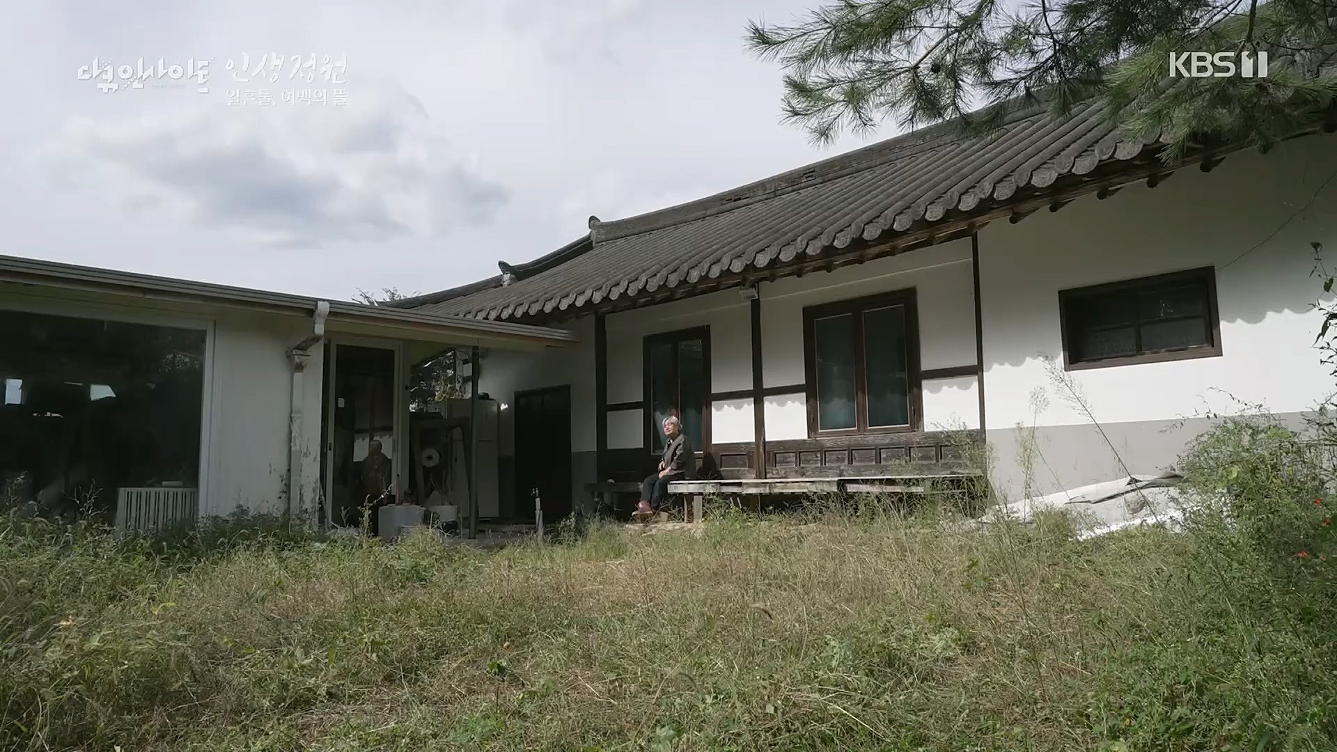 다큐 인사이트.E135.221229p.H264-F1RST.mp4_20230109_204217.841.jpg