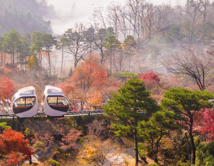 화담숲 예약하기