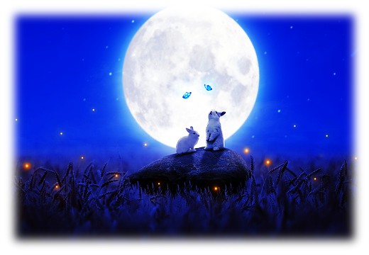 보름달과 토끼 이미지