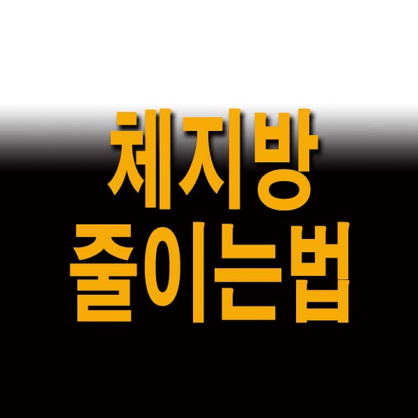 체지방 줄이는법