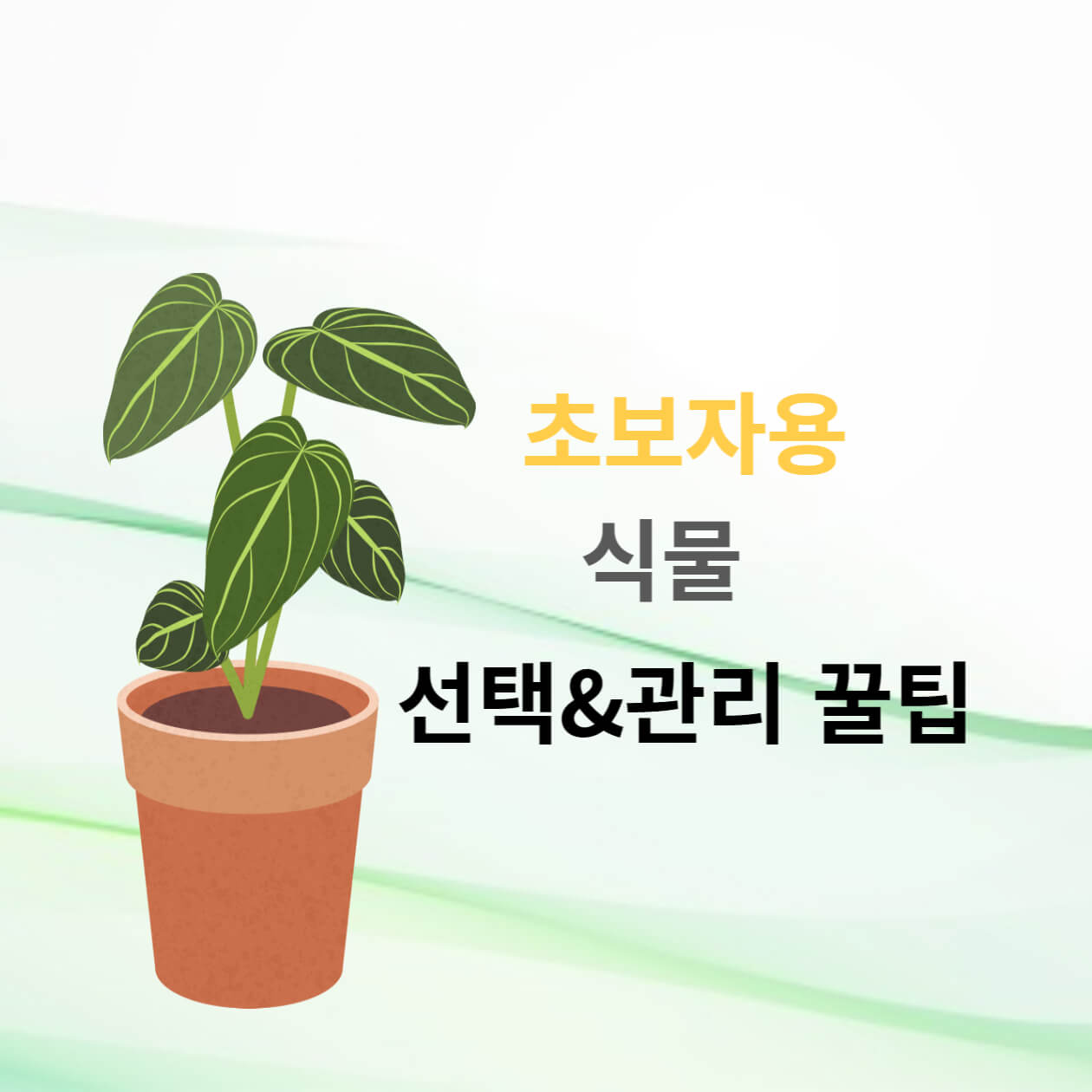  초보자용 식물 선택 및 관리 꿀팁