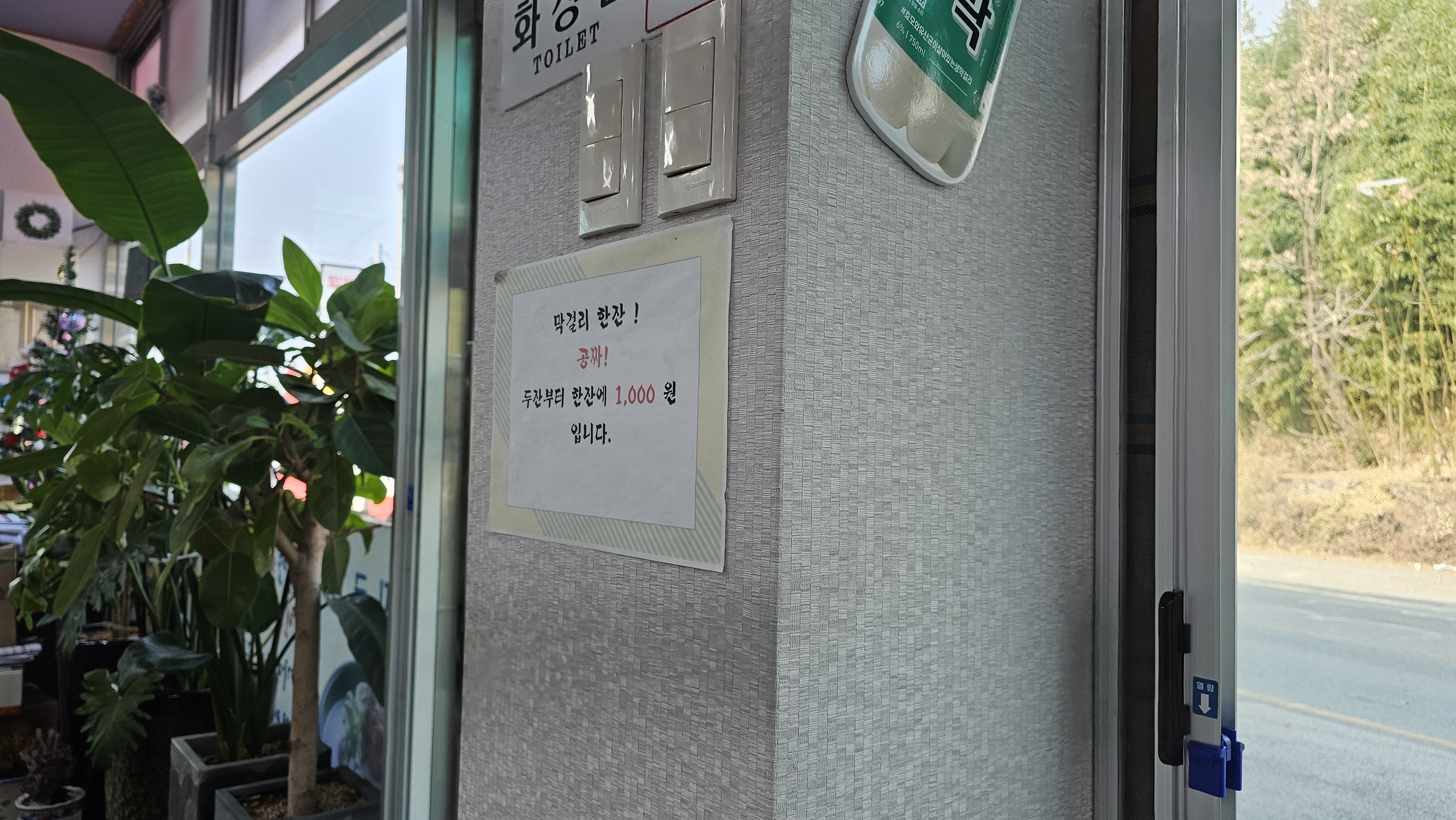 막걸리 한잔 무료