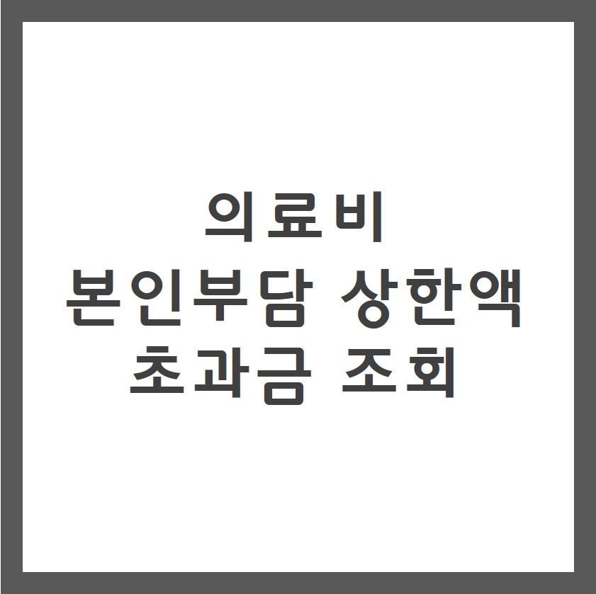 의료비 본인부담 상한액 초과금 조회