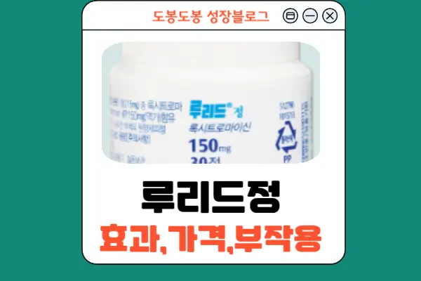 루리드정 안내 이미지
