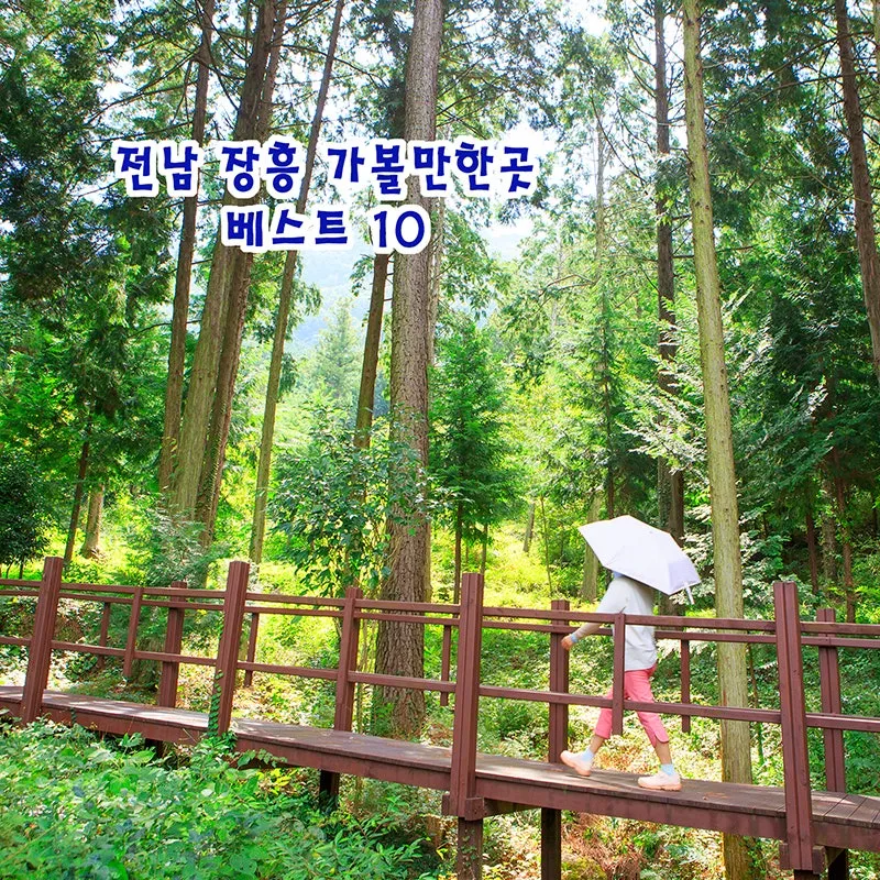 장흥 가볼만한곳 베스트10 현지인 추천 필수코스_2