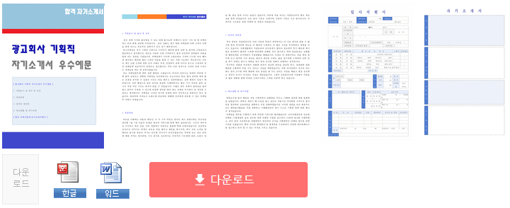 광고회사 기획직/AE 자기소개서 합격예시 + 이력서양식 [광고대행사 홍보팀 마케팅 취업 합격자소서/지원동기 및 포부 샘플]
