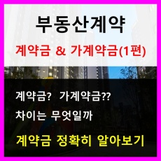 부동산계약-계약금과 가계약금의 차이는 무엇일까