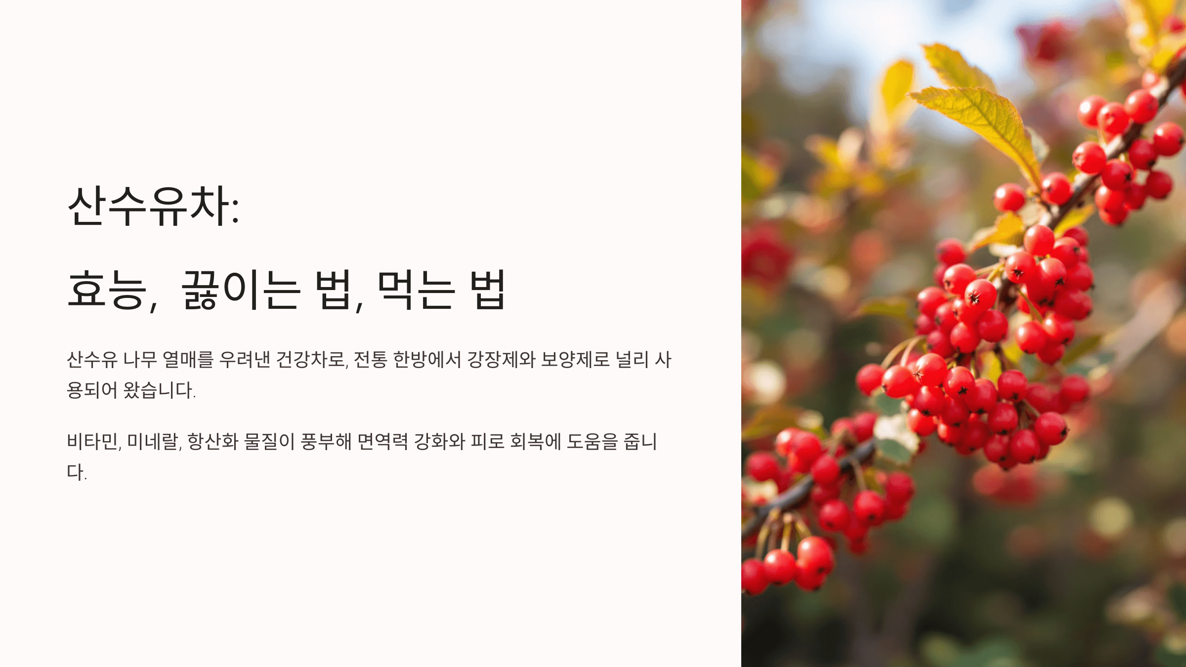 산수유차 사진입니다.