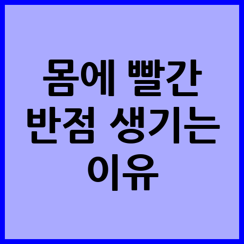 몸에 빨간 반점