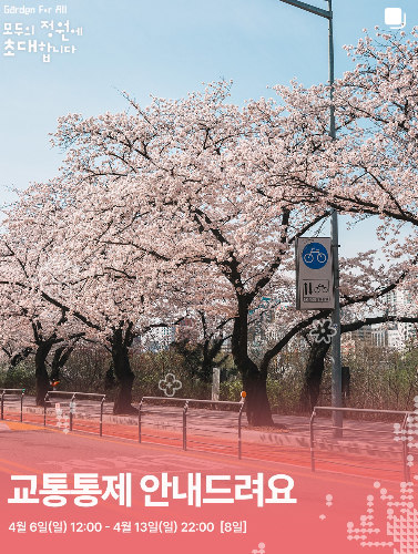 여의도 벚꽃축제 일정 변경, 꽃이 피기 전 달라진 일정… 이번엔 꼭 확인하고 가세요!