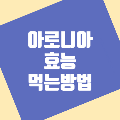  아로니아 효능 먹는방법 아로니아 분말 복용법