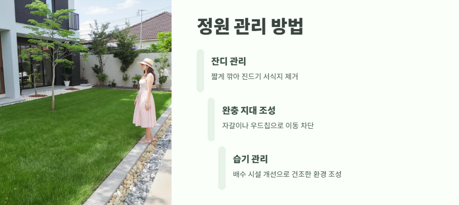 집에서 진드기 퇴치법 완벽 정리 5