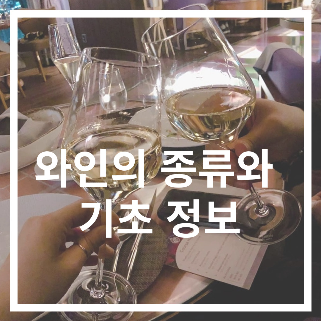  와인의 종류와 기초 정보 [와인 초심자 용 최대한 총 정리]