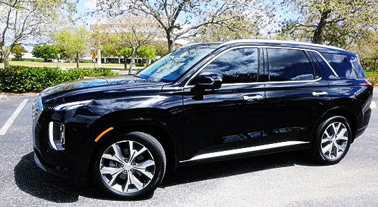 팰리세이드7인승 15